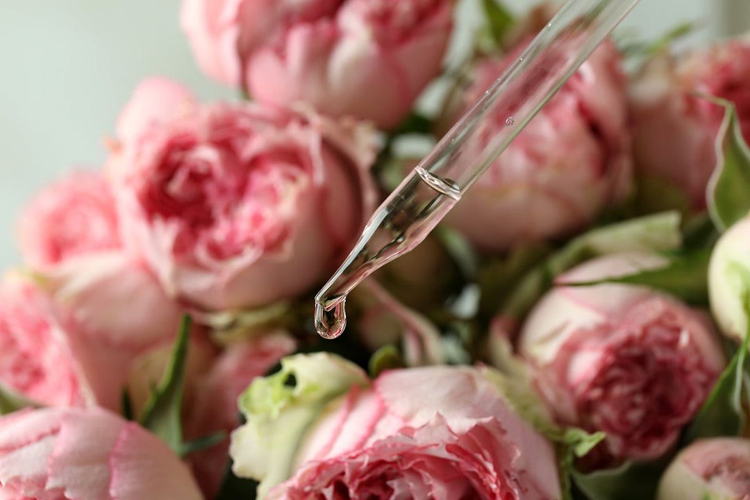 A dropper of rose essential oil in front of pink roses.